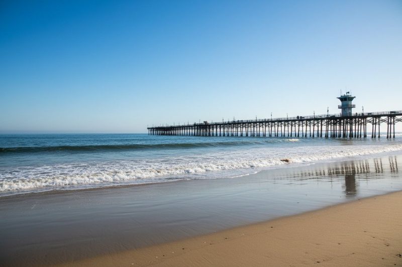 Hero for Home Services Options